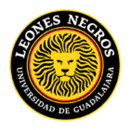 Leones Negros